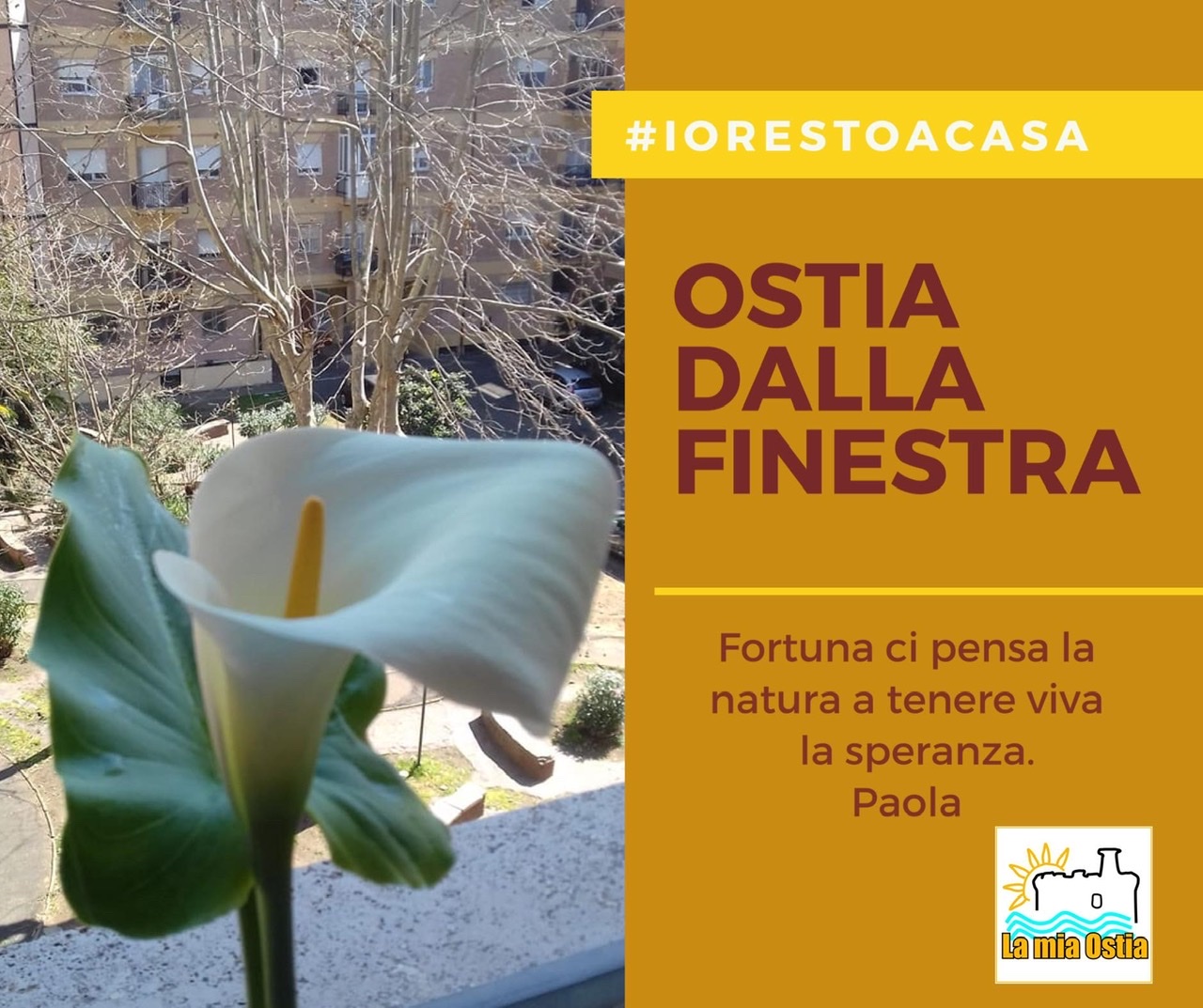 Ostia dalla finestra: mese di marzo